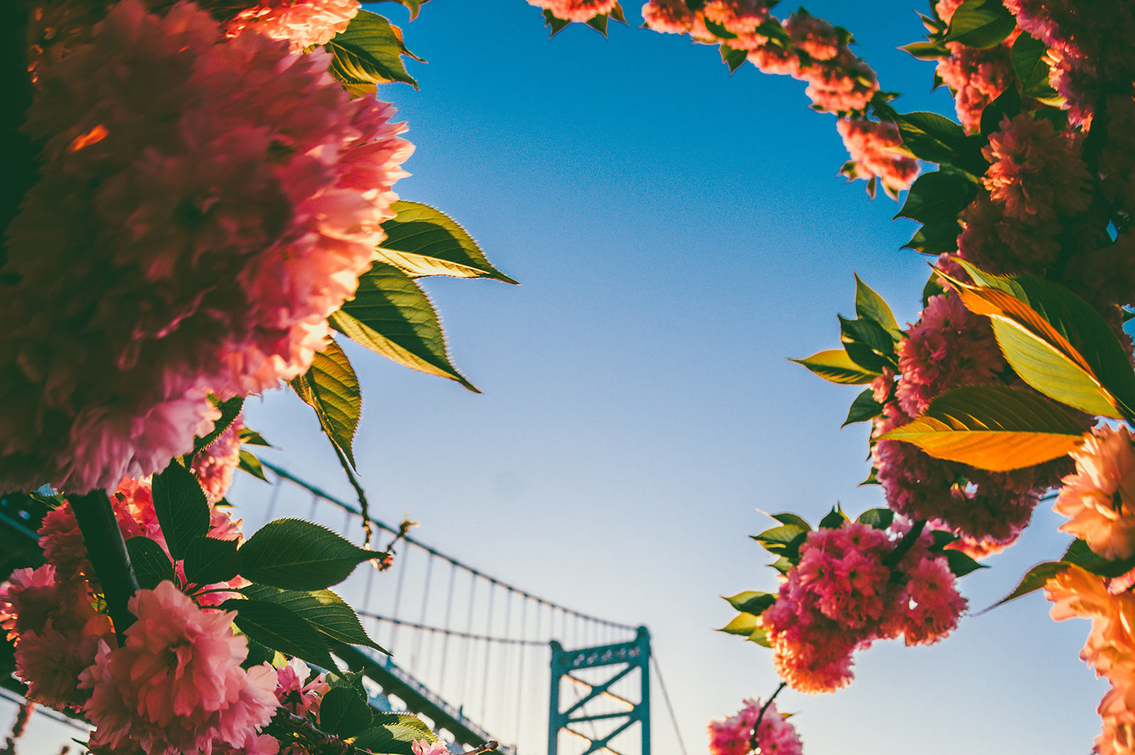 Marie PERRIN Psys Et Psys Comment S y Retrouver Marie PERRIN Psys Et Psys Comment S y Retrouver